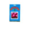 Onion Red Creole 100 gram sachet